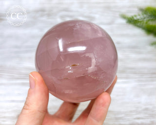 Star Rose Quartz Sphere #6