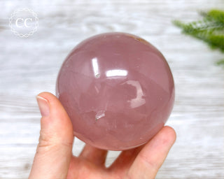 Star Rose Quartz Sphere #6