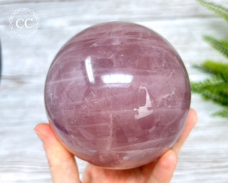 Star Rose Quartz Sphere #1