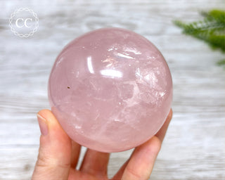 Star Rose Quartz Sphere #8