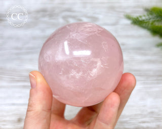 Star Rose Quartz Sphere #8