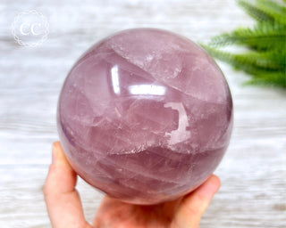 Star Rose Quartz Sphere #1