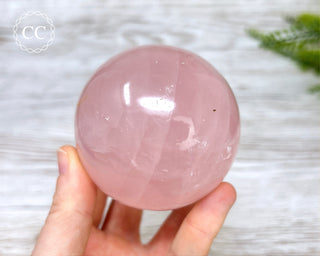 Star Rose Quartz Sphere #8