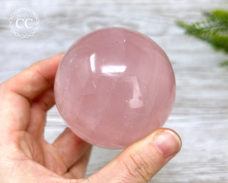 Star Rose Quartz Sphere #8