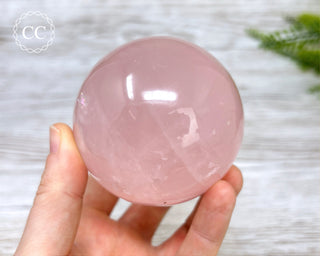 Star Rose Quartz Sphere #8