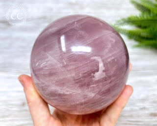 Star Rose Quartz Sphere #1