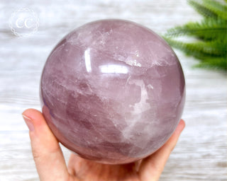 Star Rose Quartz Sphere #1