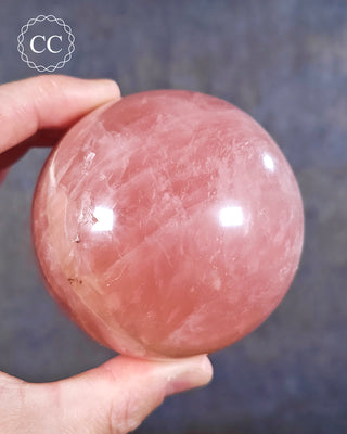 A hand holding a Rose Quartz Sphere from Madagascar