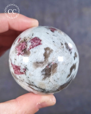 A hand holding a Rubellite/Pink Tourmaline sphere from Madagascar with a pale blue Cleavelandite base and some Smoky Quartz.