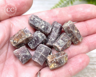 A hand holding 9 Ruby crystal specimens 