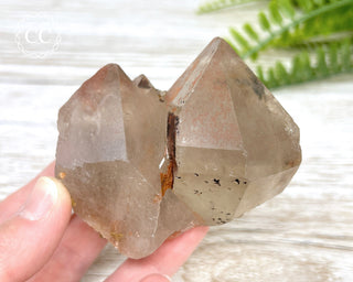 Rutilated Quartz Cluster #2