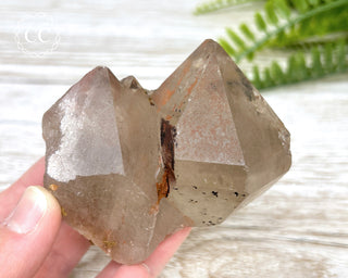 Rutilated Quartz Cluster #2