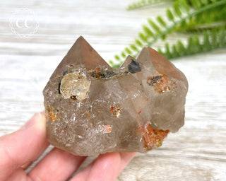 Rutilated Quartz Cluster #2