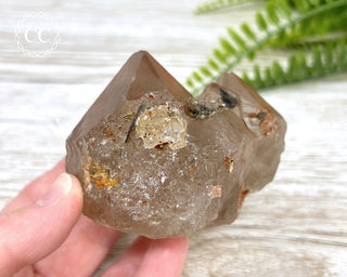 Rutilated Quartz Cluster #2