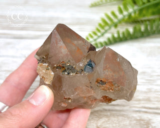 Rutilated Quartz Cluster #2