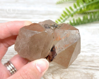 Rutilated Quartz Cluster #2