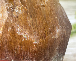 Rutilated Quartz Freeform #3