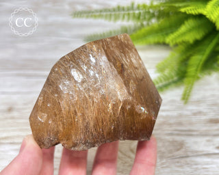 Rutilated Quartz Freeform #3
