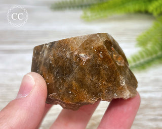 Rutilated Quartz Freeform #5