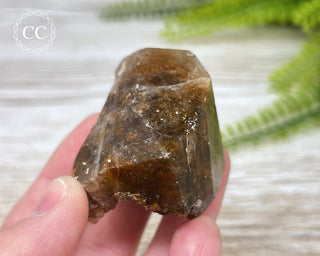 Rutilated Quartz Freeform #5