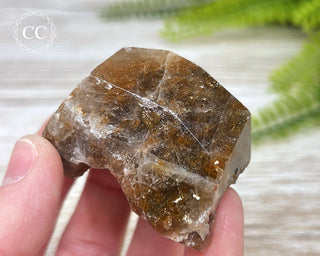 Rutilated Quartz Freeform #5