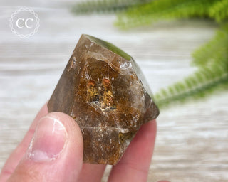 Rutilated Quartz Freeform #5