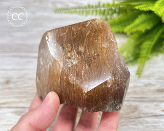 Rutilated Quartz Freeform #3
