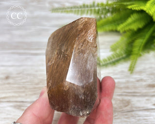 Rutilated Quartz Freeform #3