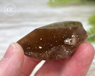 Rutilated Quartz Freeform #6