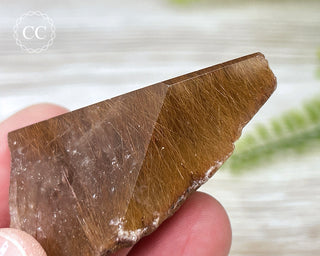 Rutilated Quartz Freeform #6