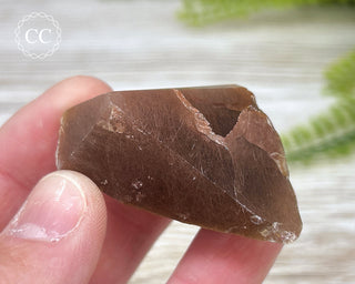 Rutilated Quartz Freeform #7