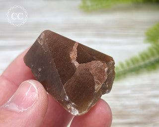 Rutilated Quartz Freeform #7