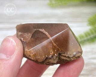 Rutilated Quartz Freeform #7