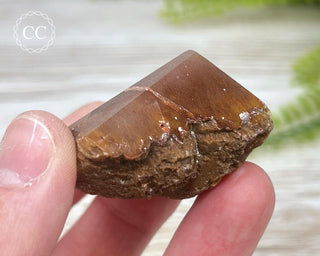 Rutilated Quartz Freeform #7