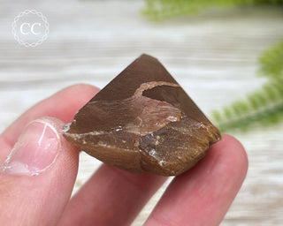 Rutilated Quartz Freeform #7