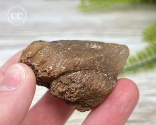 Rutilated Quartz Freeform #7