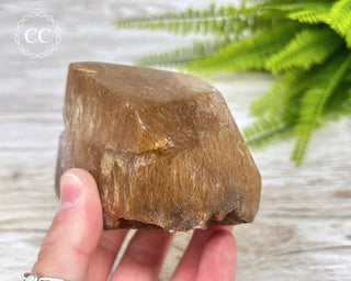 Rutilated Quartz Freeform #3