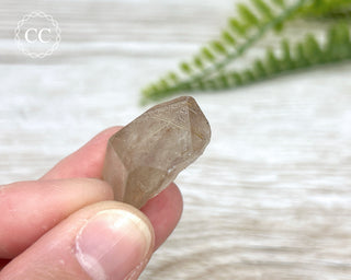 Rutilated Quartz Point #3