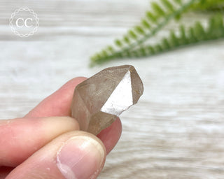 Rutilated Quartz Point #3