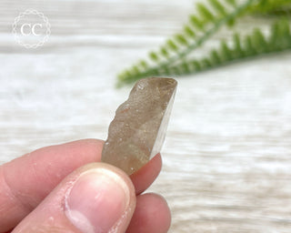 Rutilated Quartz Point #3