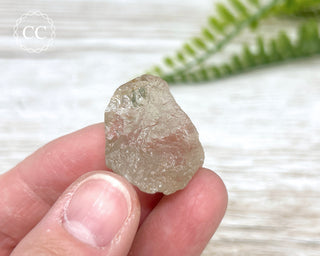 Rutilated Quartz Point #3