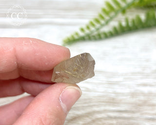 Rutilated Quartz Point #3