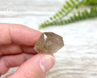 Rutilated Quartz Point #3