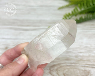 Rutilated Quartz Point #1