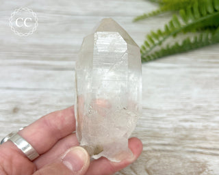 Rutilated Quartz Point #1