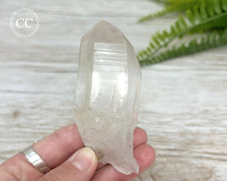 Rutilated Quartz Point #1