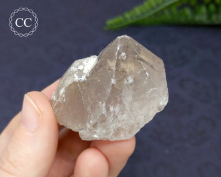 Rutilated Quartz Crystal #5