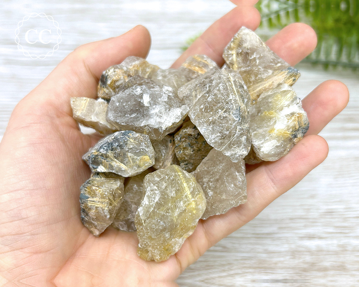 Rutilated Quartz Raw Crystal – The Citrine Circle