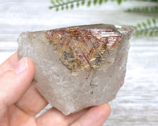 Sagenetic Rutile Quartz Crystal #12