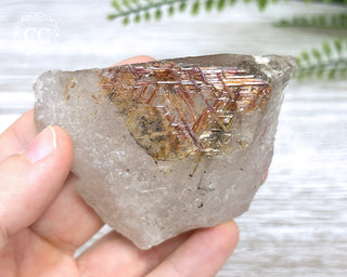 Sagenetic Rutile Quartz Crystal #12